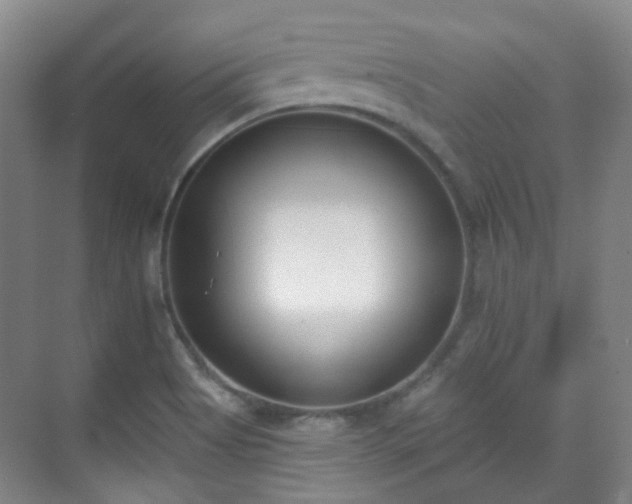 X0000070241513200606091321