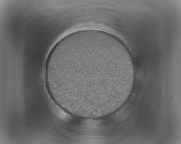 X0000070241514200606091321