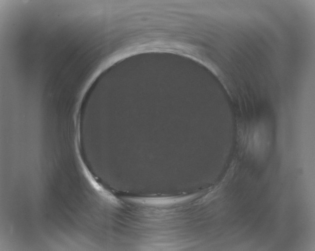 X0000070241515200606091321