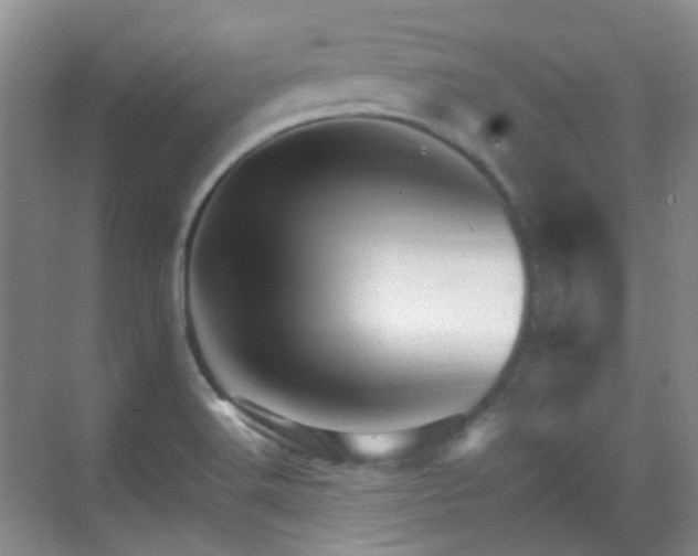 X0000070241516200606091321