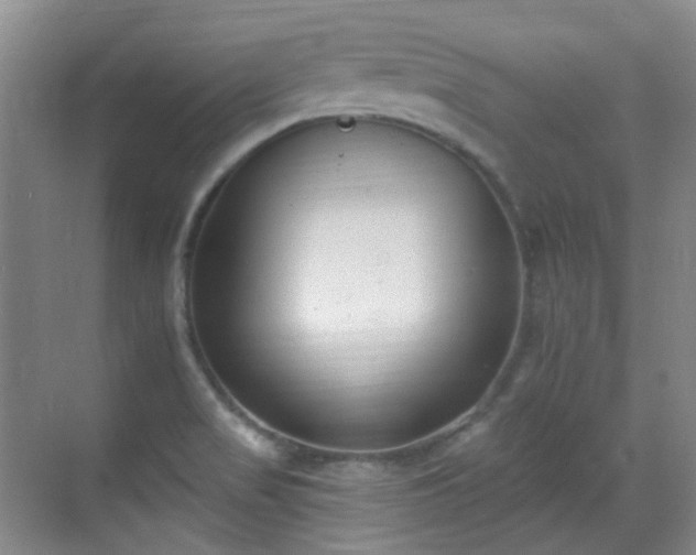 X0000070241517200606091321