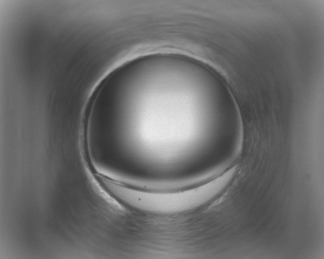 X0000070241518200606091321