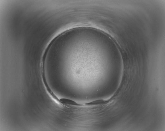 X0000070241519200606091321