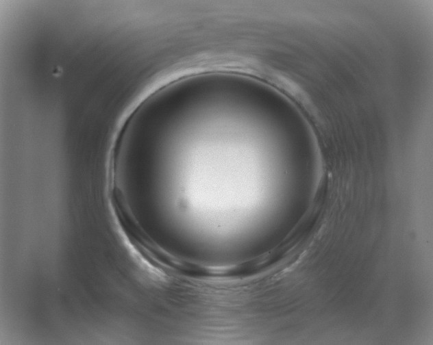 X0000070241520200606091321