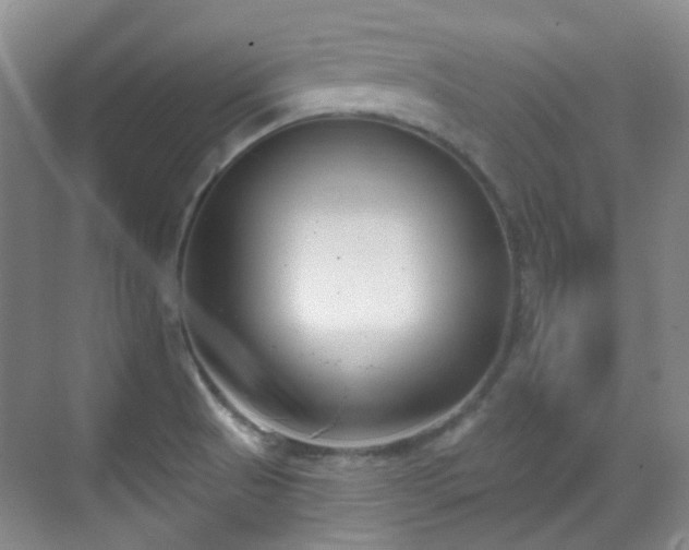 X0000070241521200606091321