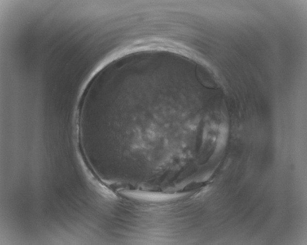 X0000070241522200606091321