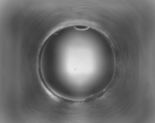 X0000070241523200606091321