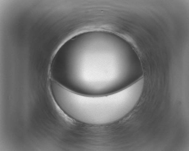 X0000070241524200606091321