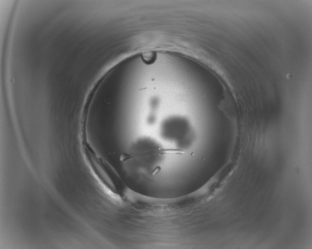 X0000070241525200606091321