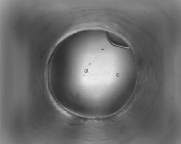 X0000070241526200606091321