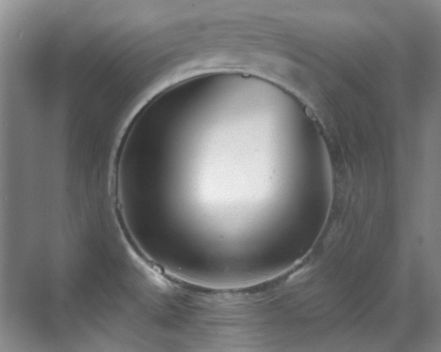 X0000070241527200606091321