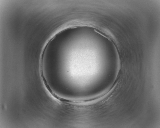 X0000070241528200606091321