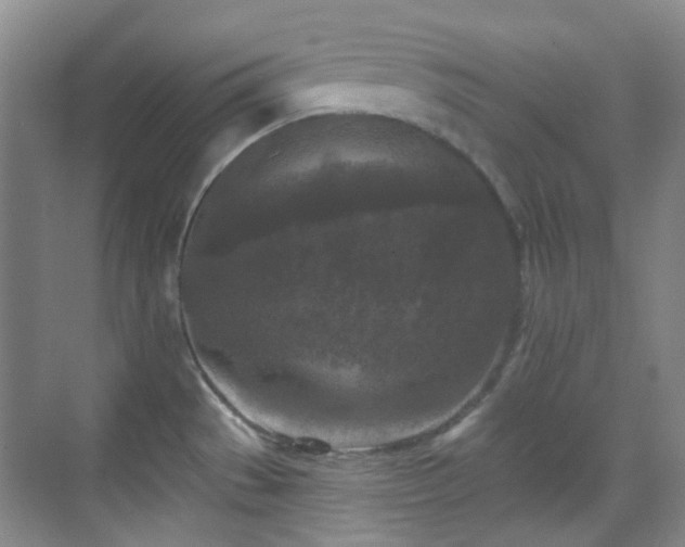 X0000070241529200606091321