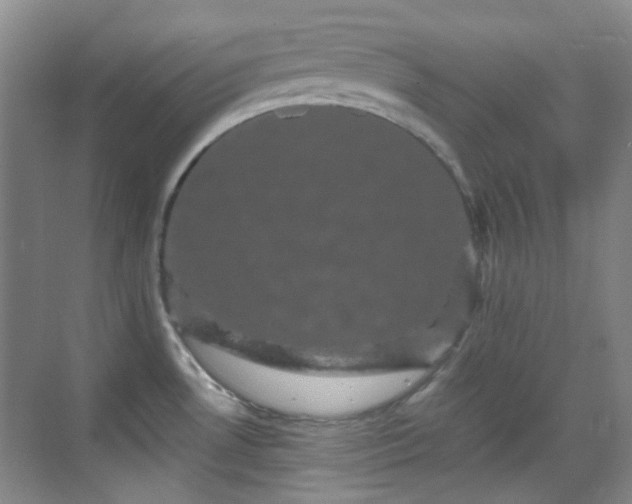 X0000070241530200606091322