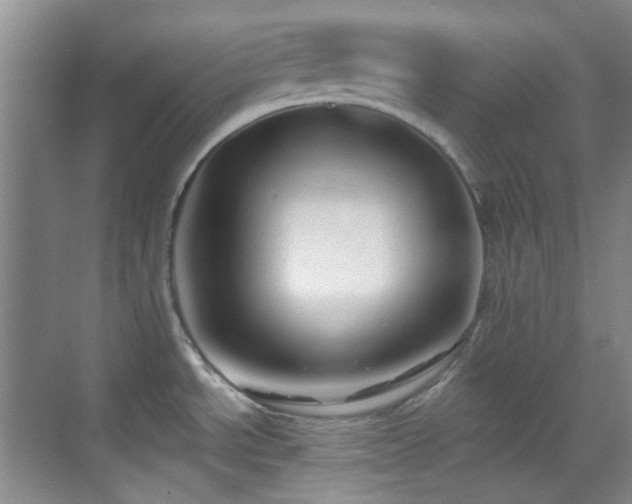 X0000070241534200606091322