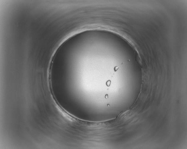 X0000070241535200606091322