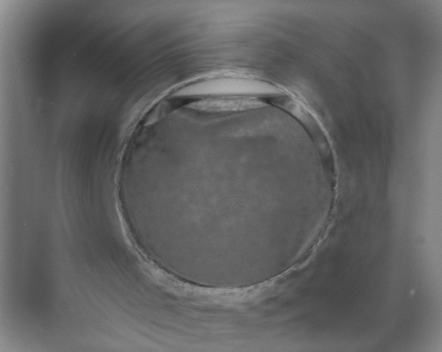 X0000070240001200606161858