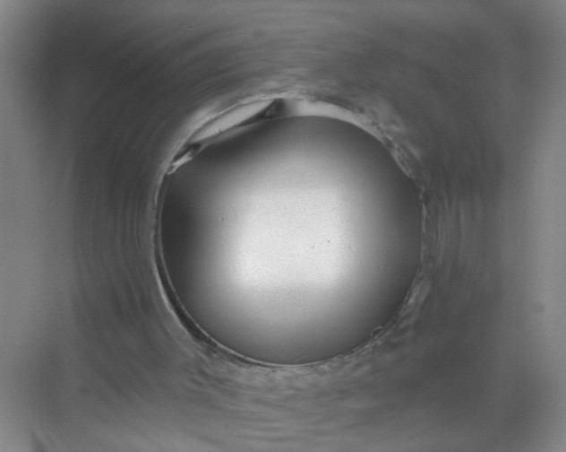 X0000070240003200606161858