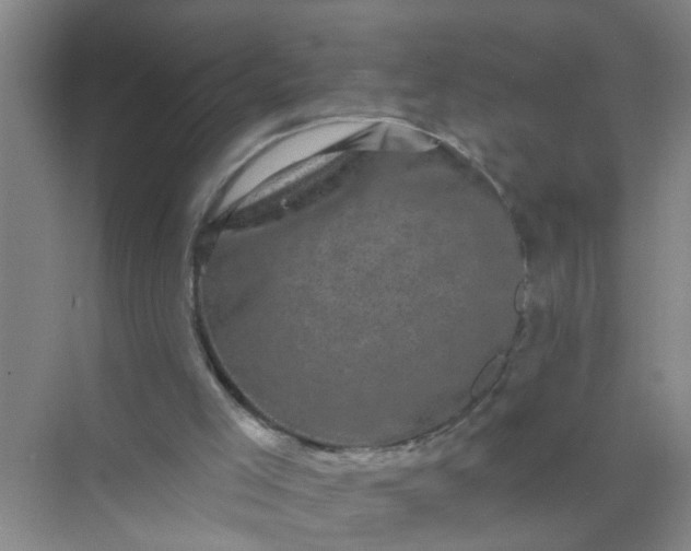 X0000070240005200606161858