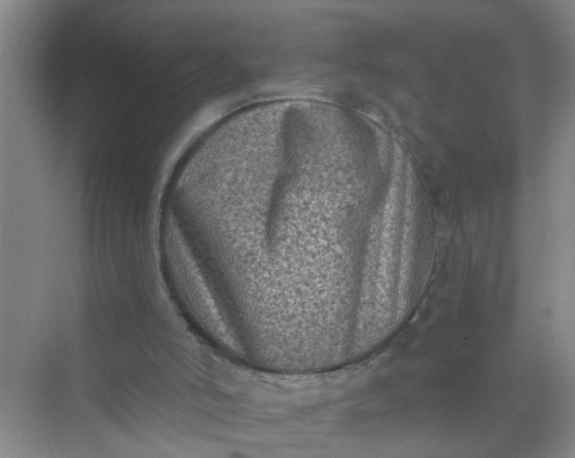 X0000070240006200606161858