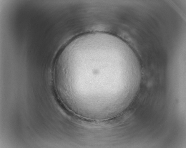 X0000070240012200606161858