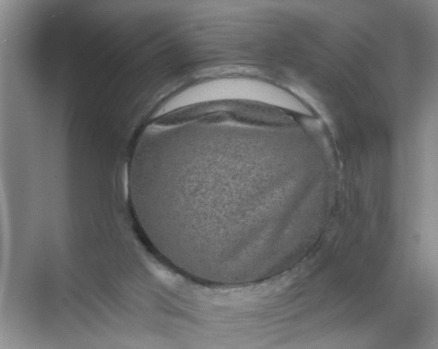 X0000070240013200606161858