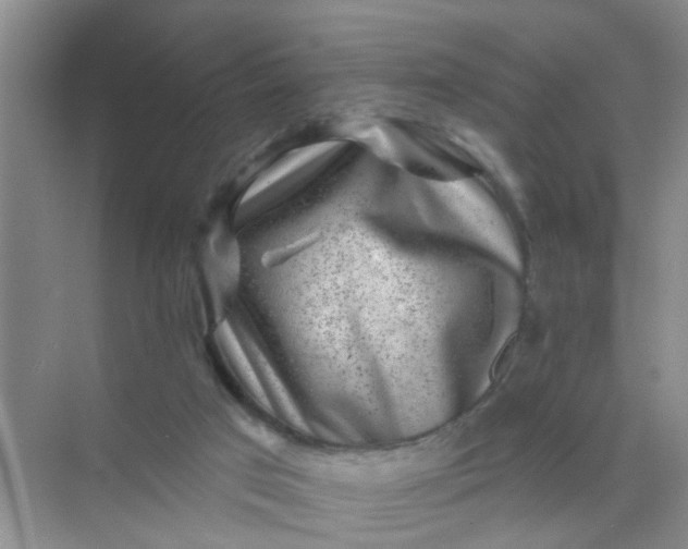 X0000070240017200606161858