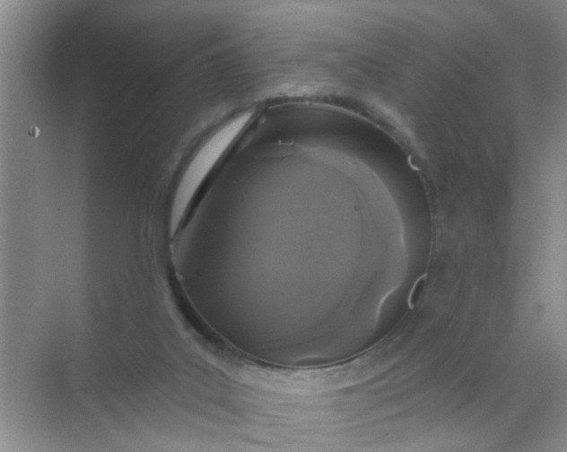 X0000070240019200606161857