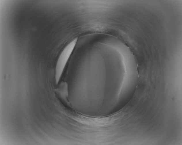 X0000070240027200606161857