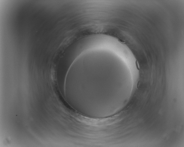 X0000070240035200606161857