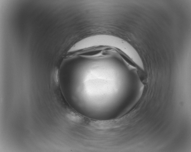 X0000070240041200606161857