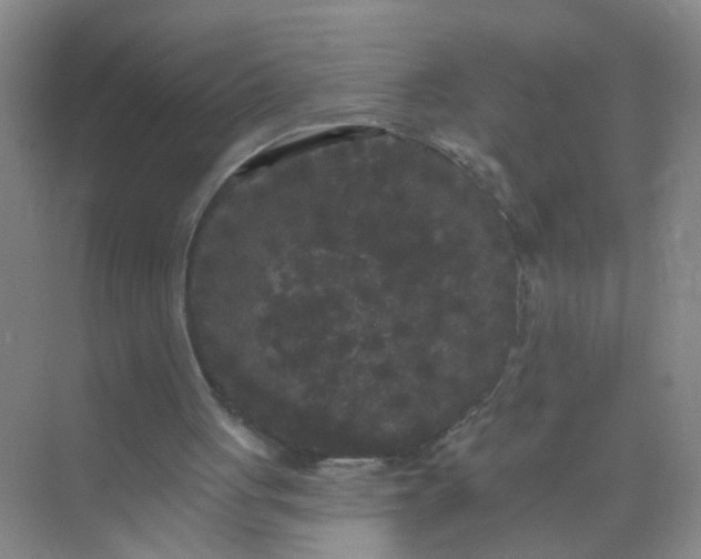 X0000070240051200606161856