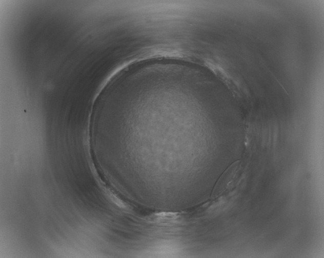 X0000070240052200606161856