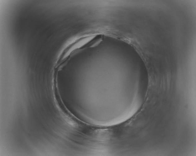 X0000070240054200606161856