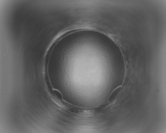X0000070240056200606161856