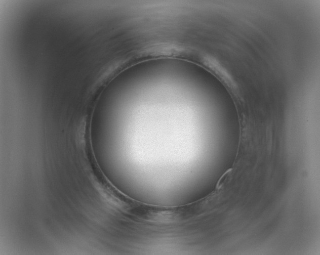 X0000070240058200606161856