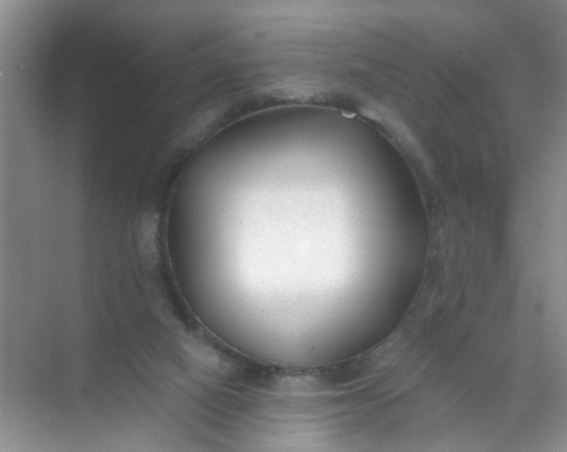X0000070240066200606161856