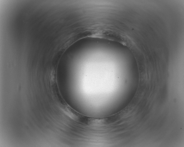 X0000070240081200606161857