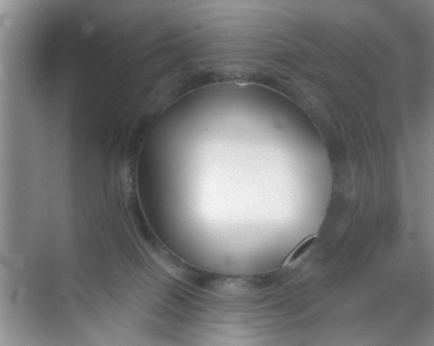X0000070240086200606161857