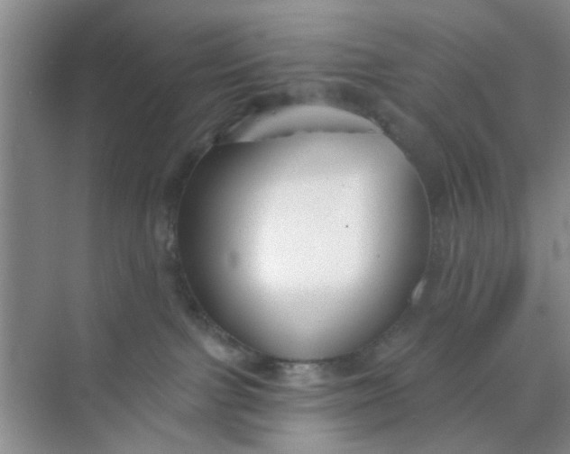 X0000070240091200606161857