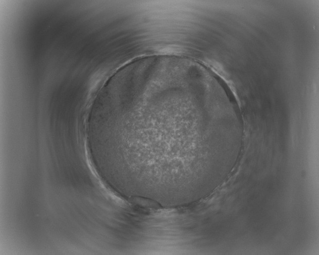 X0000070240097200606161856