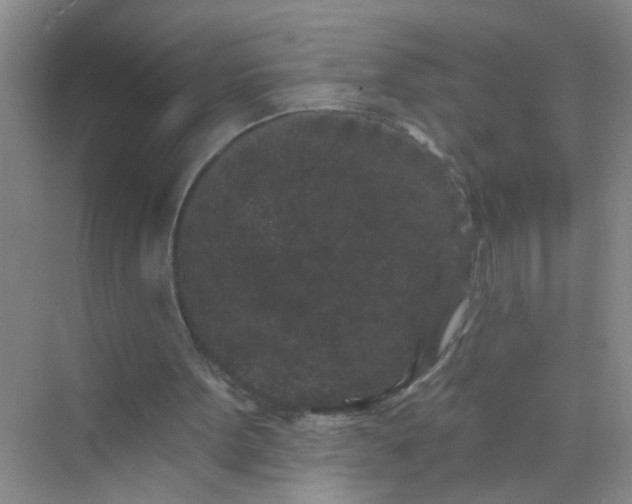 X0000070240099200606161856