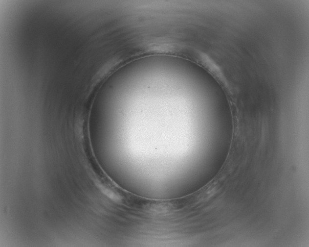 X0000070240106200606161856