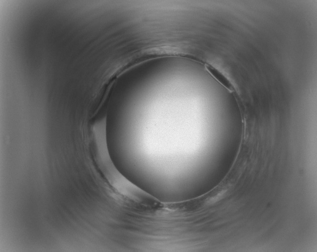 X0000070240109200606161856