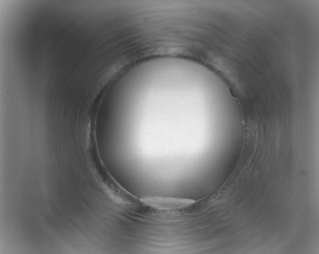 X0000070240110200606161856