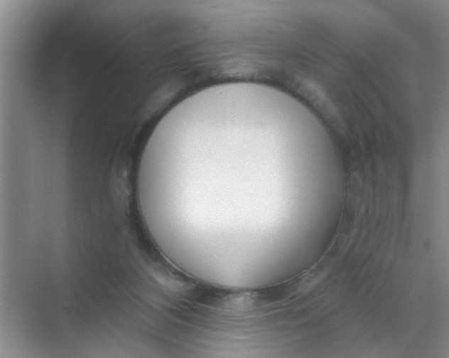 X0000070240116200606161856