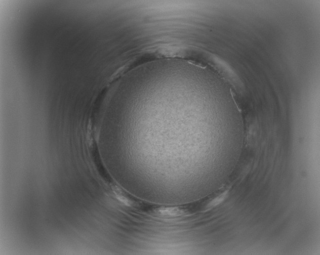 X0000070240121200606161856