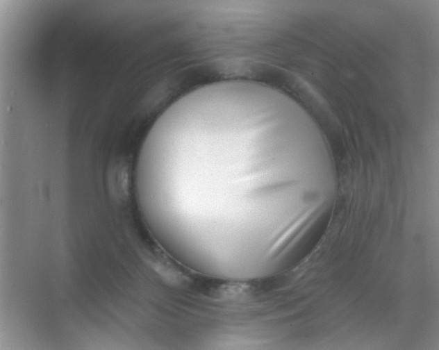 X0000070240124200606161856