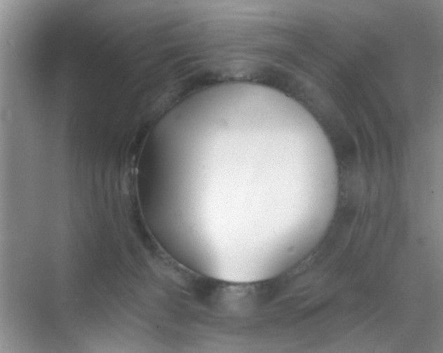 X0000070240126200606161856