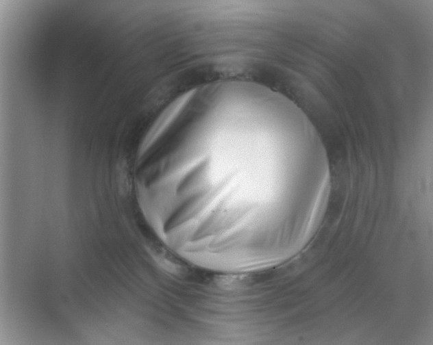 X0000070240136200606161856
